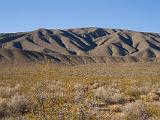 Death Valley 003 : Vermont Canoe Spring